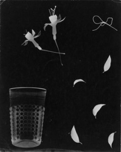 Untitled photogram