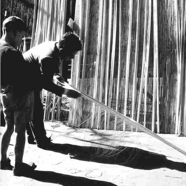 Sale of palm leaves, Rambla, Barcelona, 1963